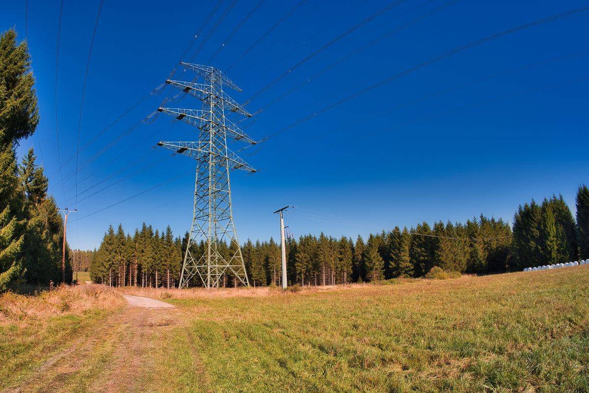 Wycinka drzew pod liniami energetycznymi