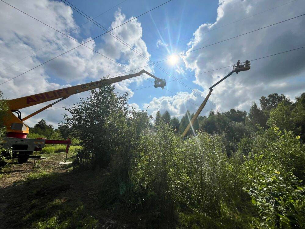 Dismantling of the 220 kV Miłosna – Ostrołęka power line