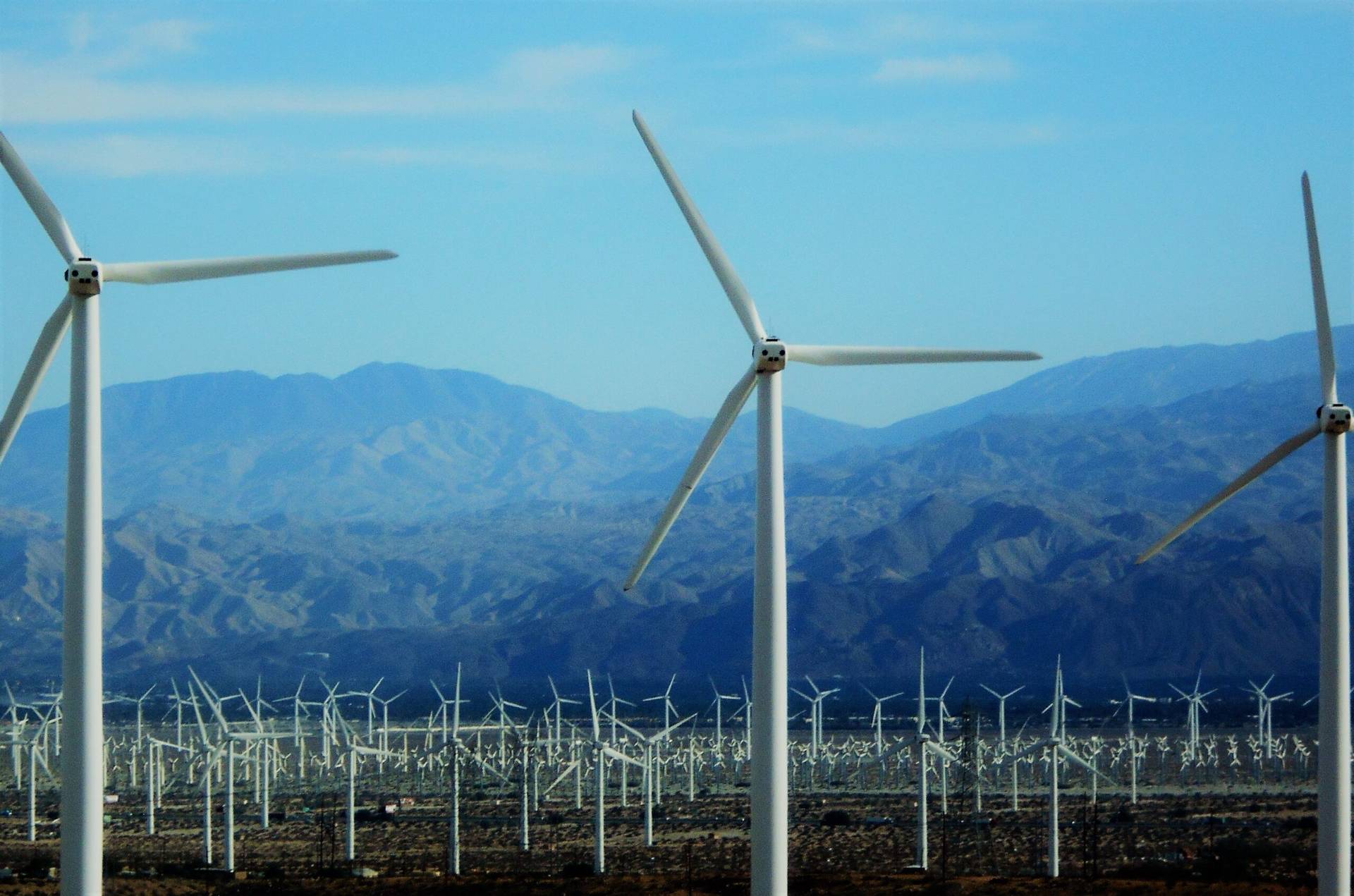 How much clean energy does a wind farm produce?