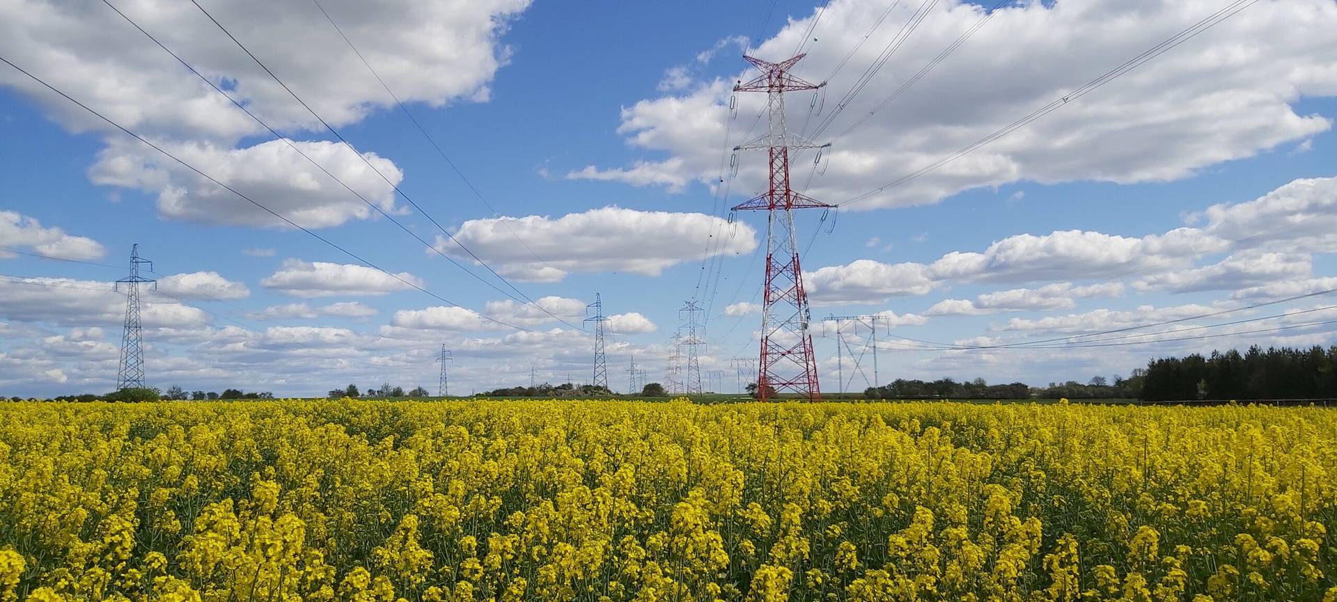 alt="Budowa dwutorowej linii elektroenergetycznej 400 kV Czarna – Pasikurowice - oznakowanie przeszkodowe dzienne – el.demo.weblegend.pl"